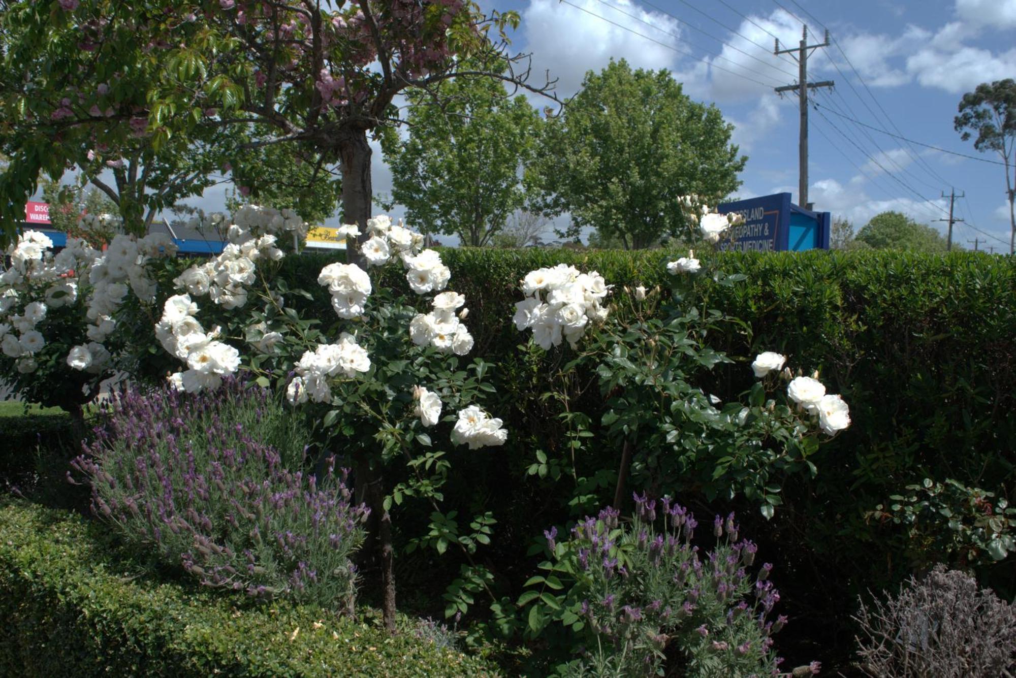 City Gardens Motel Traralgon Luaran gambar